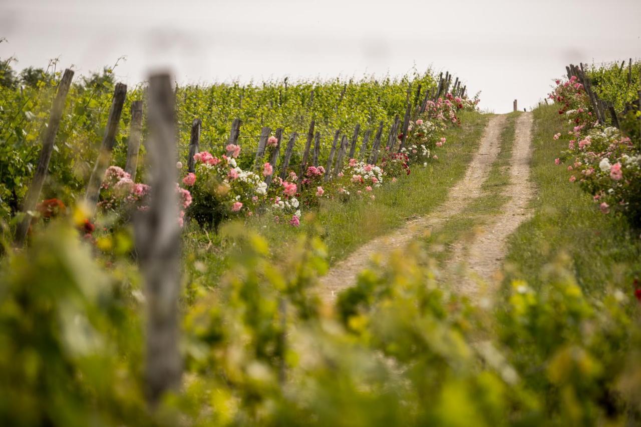 Roccafiore Wine Resort & Spa Тоді Екстер'єр фото